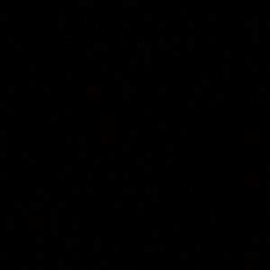 Meet your Posher, Addie